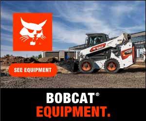 bobcat